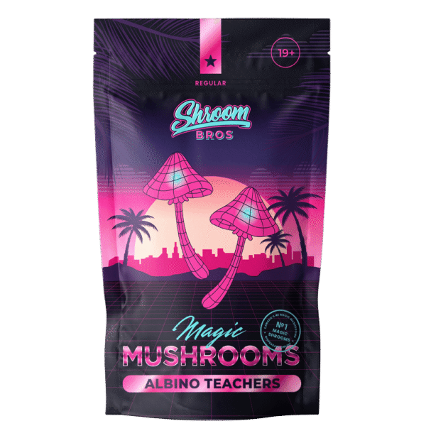 Albino Teachers Magic Mushroom