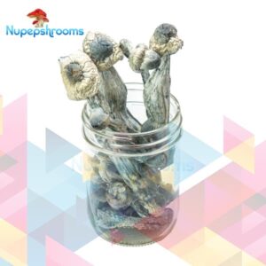 APE Penis Envy Magic Mushrooms Strain
