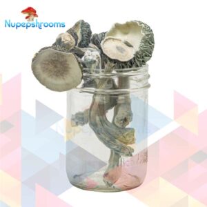 White Rabbit Magic Mushrooms