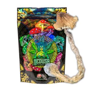 Amazonian Magic Mushrooms | Medusa Extracts