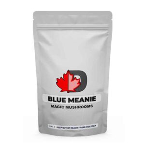 Blue Meanie Magic Mushrooms