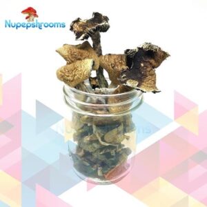 Bulk Brazilian Mushrooms