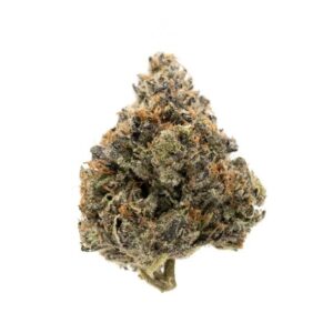 Rockstar | Indica