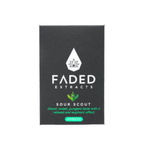 Sour Scout Shatter (Faded Cannabis Co)