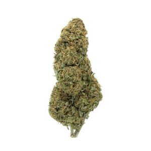 Hempstar | Sativa