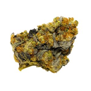 BLUE COMA Hybrid
