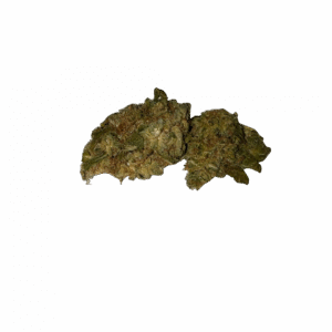 BLOW OUT SALE Critical Mass Hybrid 28G $39