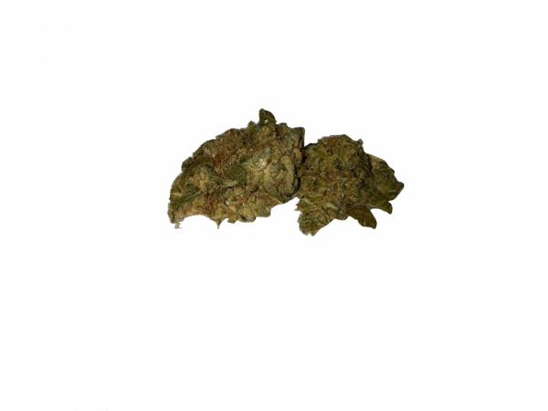 BLOW OUT SALE Critical Mass Hybrid 28G $39