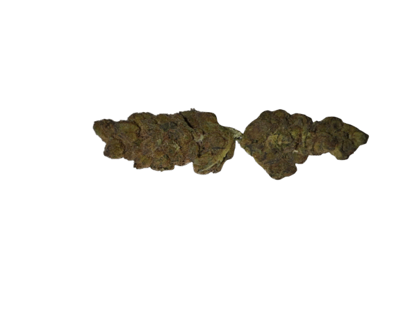 BLOW OUT SALE Wedding Pie Hybrid 28G $69