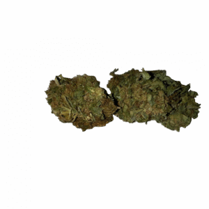 BLOW OUT SALE Afghan Indica 28G $89