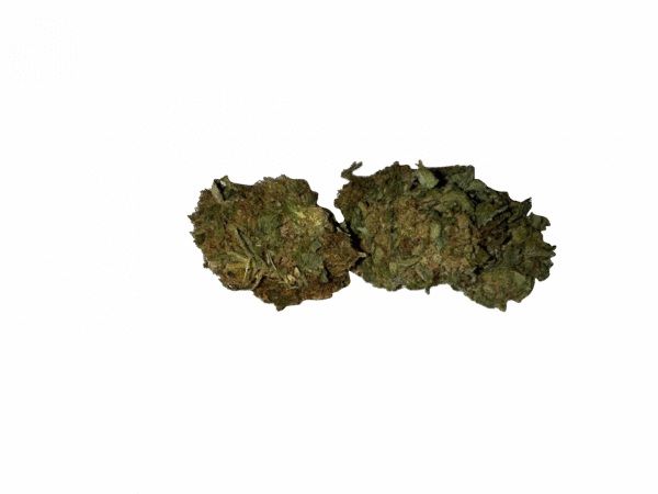 BLOW OUT SALE Afghan Indica 28G $89