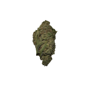BLOW OUT SALE Apricot 28G $49