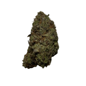 Lemon Kush Hybrid (AAAA)