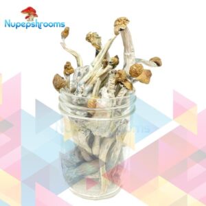 NEW Penis Envy (mostly stems)