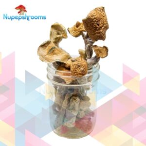 Premium Penis Envy Magic Mushrooms