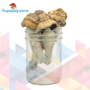 Premium Tri-Colour PE Magic Mushrooms (Premium)