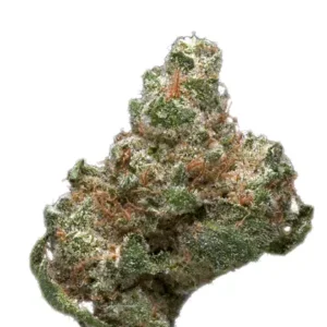 Space Needle Sativa