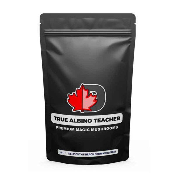 True Albino Teacher Premium Magic Mushrooms