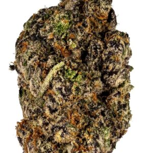Apple Fritter Hybrid