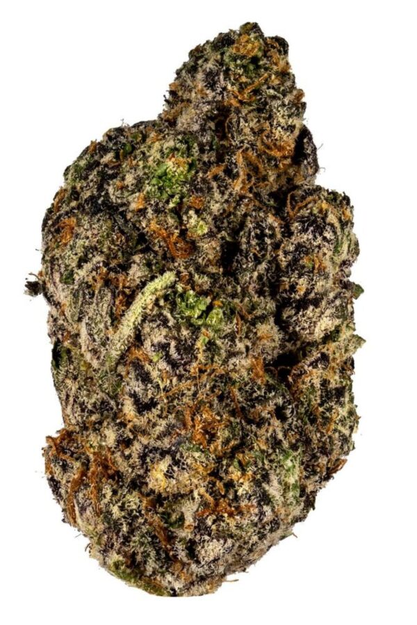 Apple Fritter Hybrid