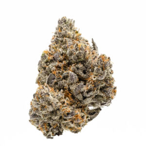 Biscotti Hybrid