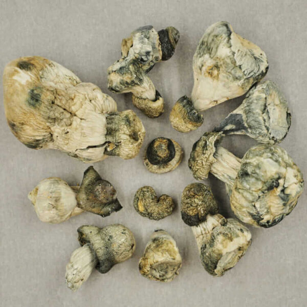 Blue Meanies - Image 2