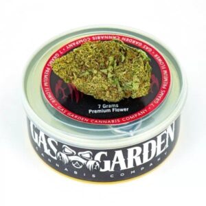 Tuna Can Cannabis 7g Gelato Mint (Hybrid) – Gas Garden