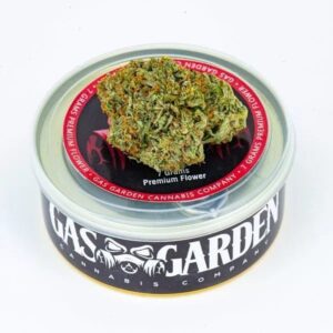 Tuna Can Cannabis 7g French Cookie (Hybrid) – Gas Garden