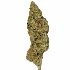 Lemon Haze Sativa 28G $49 BLOW OUT SALE