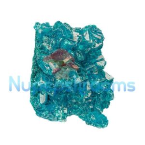 Pure Blue Molly
