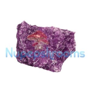 Pure Purple Molly