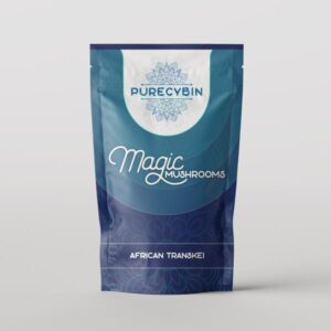 African Transkei Magic Mushrooms