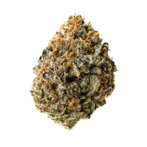 Sonoma Coma Sativa