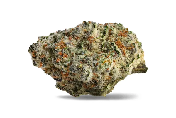 Strawberry Amnesia Sativa