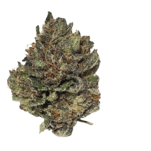 Tigers Blood Indica