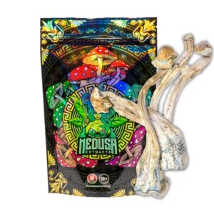 Tri-Colour Ecuadorian Magic Mushrooms | Medusa Extracts